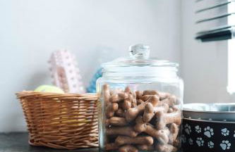 Foxglove Lodge - Photo 25