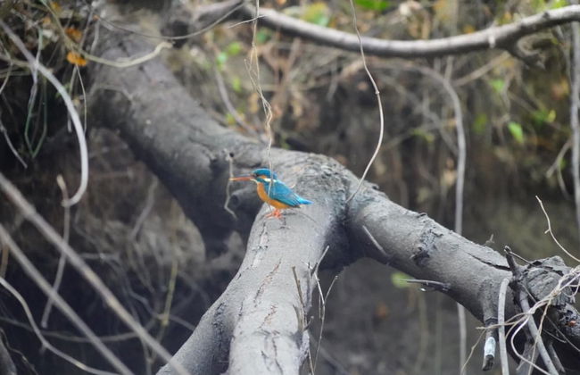 River Paradise Safari House with Cooking Class - Photo 13