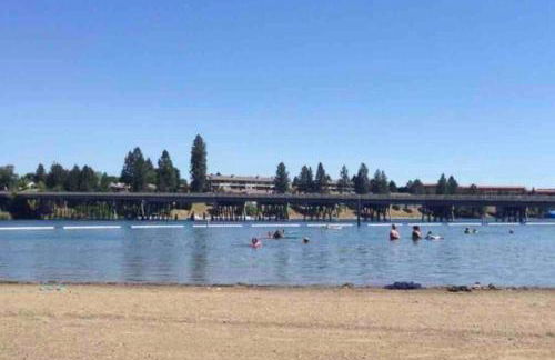 Little Cabin in the Woods. - Foto 51