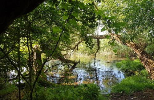 Farmstay Neuendorfkrug, Lütow - Foto 50