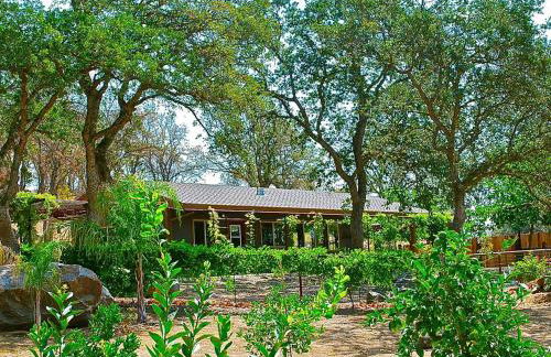 Quiet Cottage Rental for Two in Horse Country near Yosemite National Park Gateway, California - Foto 15