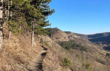 Ferienhaus Jena - Feuer und Flamme - Foto 43