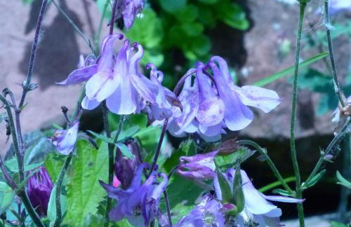 Apartment ApartmentmitAusblick by Interhome - Foto 25