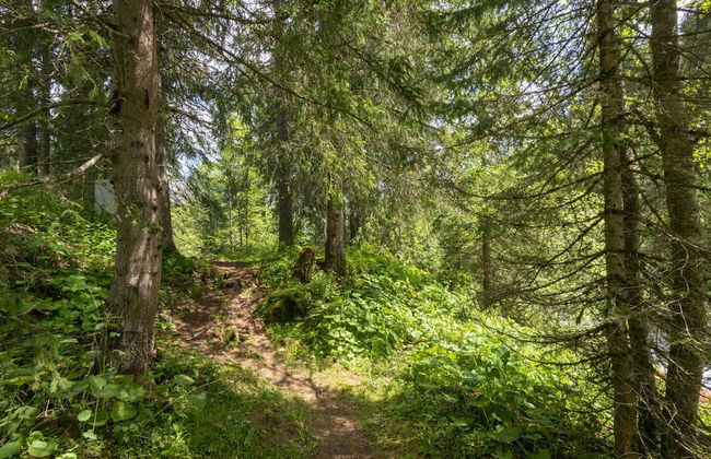 Chalet in St. Gallenkirch Near Ski Lift - Foto 33