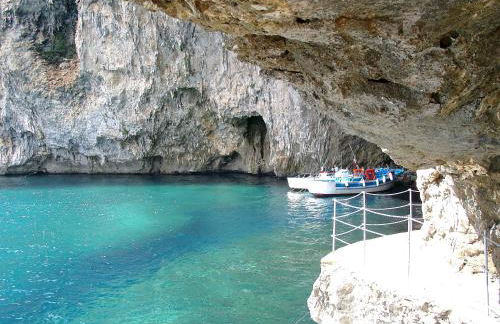 Pajara Rugiada - Foto 56