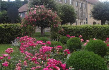 Klostermühle - Foto 17