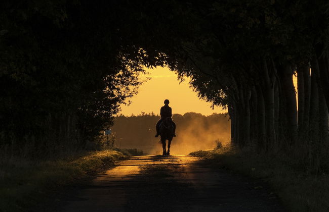 Manor Farm B & B - Foto 51