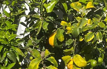 Alojamento DOZE - Aldeia do Telheiro - Foto 34