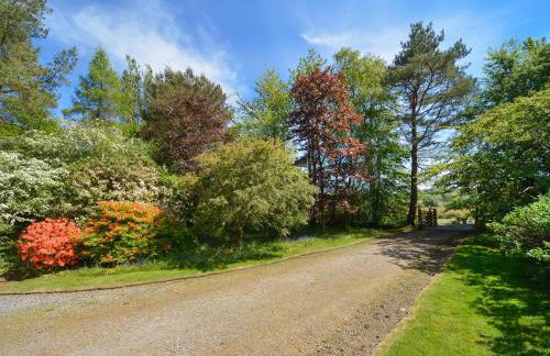 Point Park - Foto 33