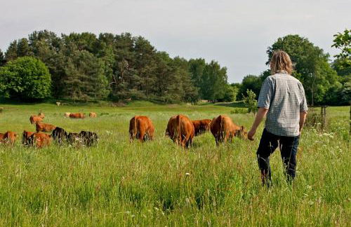 Studio Zempow, ökologisches Ferienhaus - Photo 22