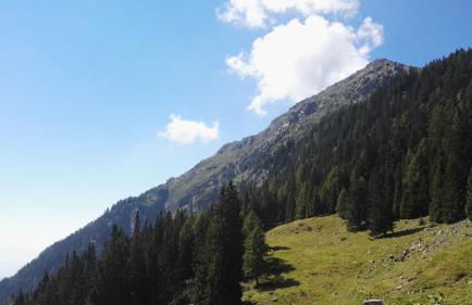 Georgenhöhe - Photo 64