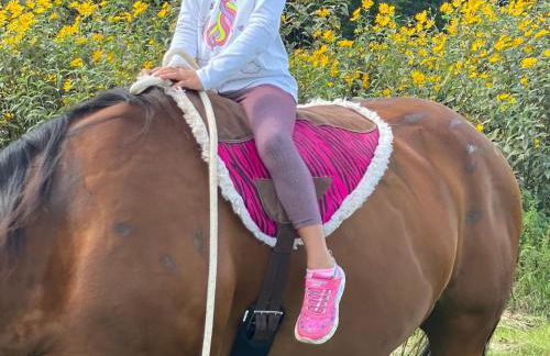 Apartments ideaCasa - Foto 6