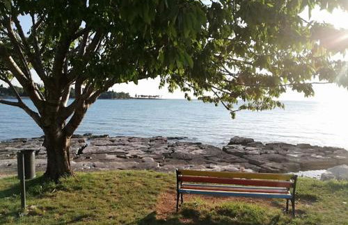 Apartments Oleander Lovrečica-residence with pool - Photo 47