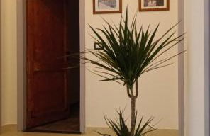 Narniandum Est Locazione Turistica - Foto 13