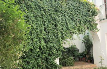 El 5 de la Hoguera - Foto 8