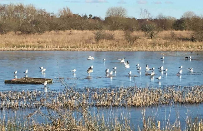 Stunning Luxury Apartment Near Motherwell - Foto 24