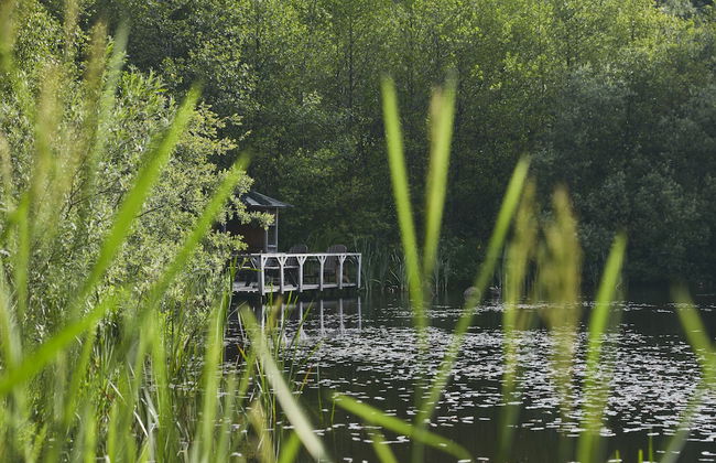 Mushroom Yurt set in 4 Acres of Woodland and Lakes - Foto 11