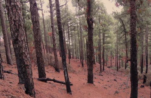 Apartamento Sol y Mar - Foto 28