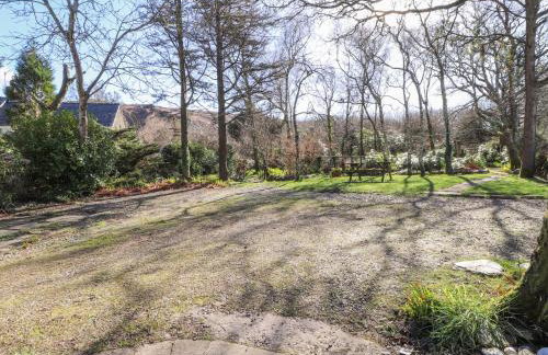 Meadowlands - Foto 39