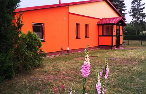 Abendsonne - Foto 14