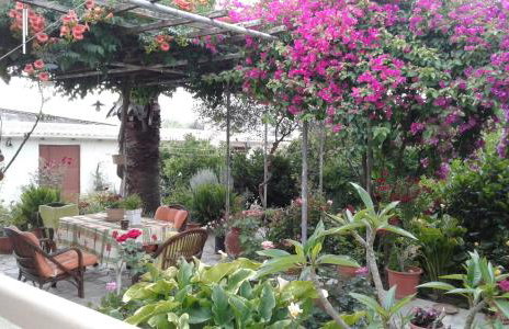 Phaistos Country House - Foto 7