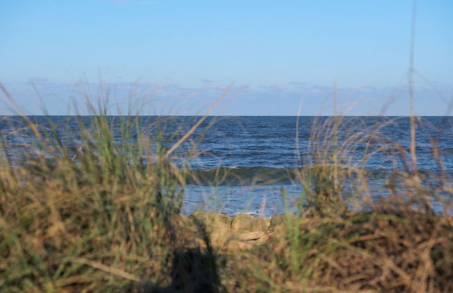 Beachside Beauty - Photo 29