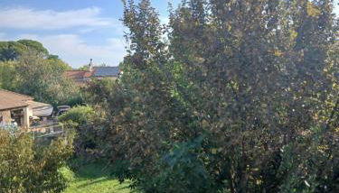 Appartement à 15 minutes de Hyères et ses plages - Photo 2, Garden