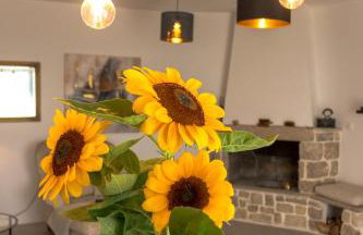 Villa O'Zrna - Foto 47