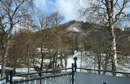 Kurpark-Blick Willingen - Foto 15