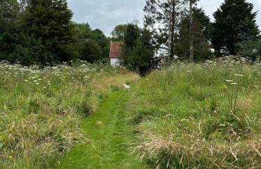 Willow cottage - Foto 14