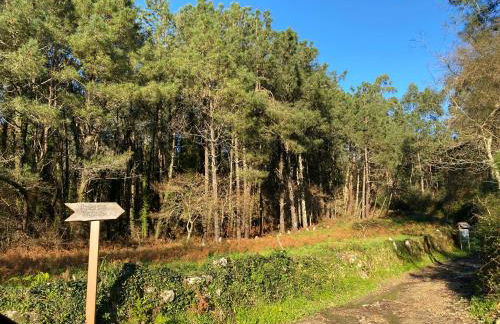 Cabañas de Aldán - Foto 64