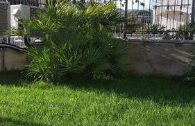 La Strelitzia Cervo Mare - Foto 31