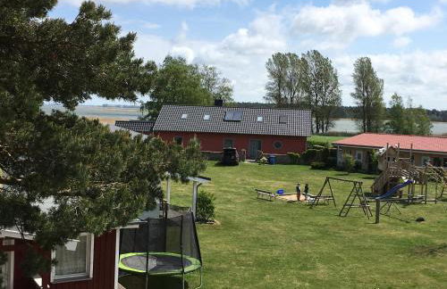 Boddenperle - Foto 3