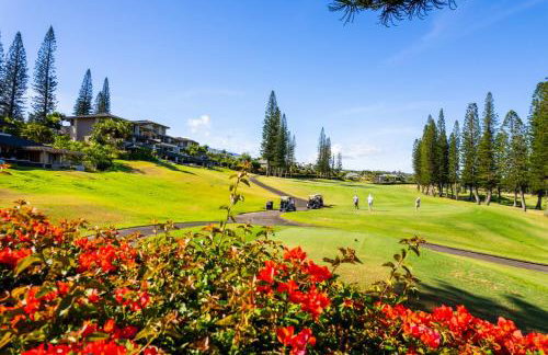 Kapalua Golf Villas 2 Free cars KBM Resorts Large Bedrooms 2 Units 3 Bedrooms ML-2189 - Foto 73