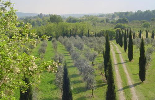 Agriturismo Antica Dimora Del Turco - Foto 64