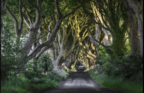 Millhouse Cottage A Luxury 3 bed Bungalow - Foto 51