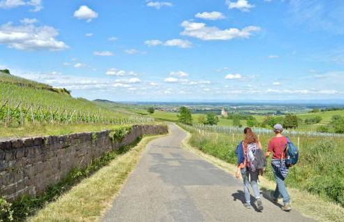Gîte chez "Mamie Schlop" - Foto 42