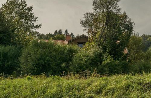 Kałamunka - Foto 73