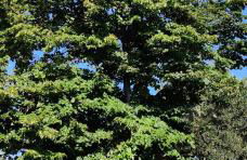 La casina del sole - Foto 43