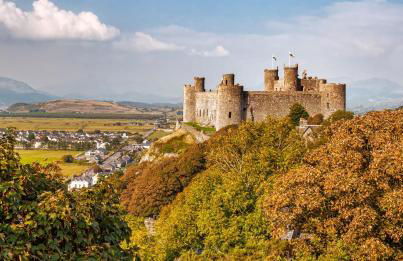 'The Cabin'. A cosy private & secure holiday home. - Foto 57