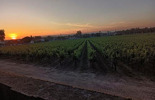 Casa de São Pedro - Foto 38