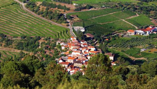 BABhouse Casa das Abelhas - Coração do Douro - Foto 2