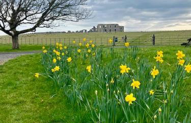 The Sea Loft Castlerock. - Foto 34