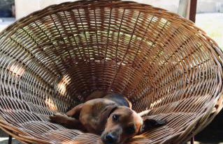 Casa da Eira - Foto 35