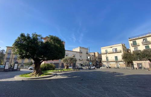 Zara Palace - Foto 40