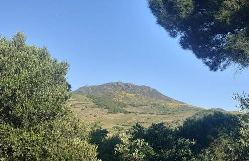 Casa azul & blanca - Foto 21