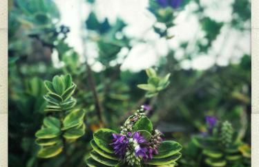 Downe Cottages - Foto 49