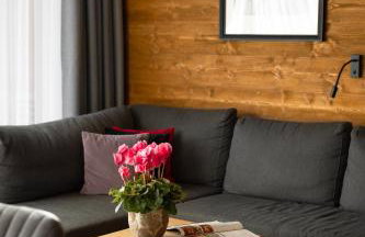 APARTAMENTY U HARREGO BOUTIQUE SPA masaże, sauna, tężnia solankowa , balkon , taras , klimatyzacja , parking - Foto 51