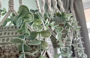 KRABBES Ostseeliebe - Foto 22