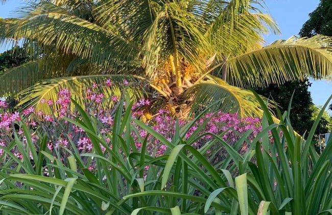 Namiyasi Lake Cottage - Foto 16